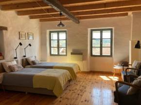 Camino House Motovun - Eco B&B